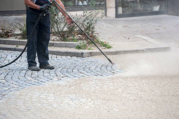 Best Driveway Cleaning and Restoration in Monfort Heights, OH